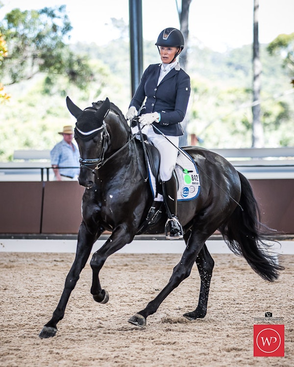 Image for Belrock Equestrian Young Horse 5yo Round 1
