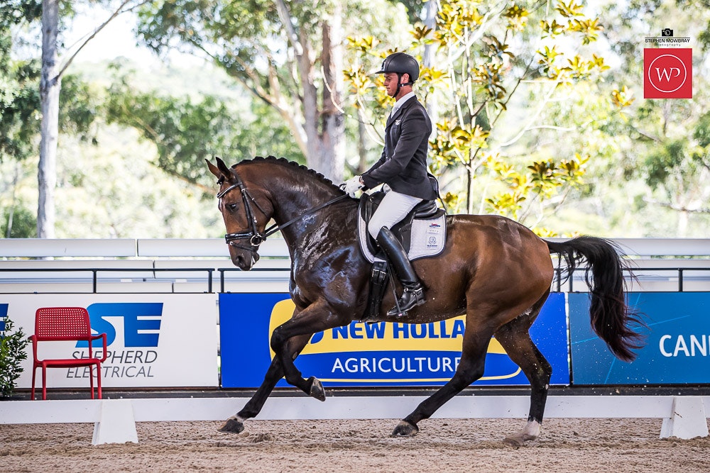 Image for Belrock Equestrian Young Horse 5yo Round 1
