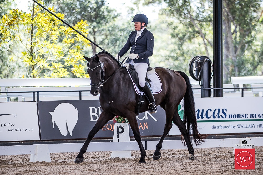 Image for Cox Architecture Young Horse 6yo Round 1
