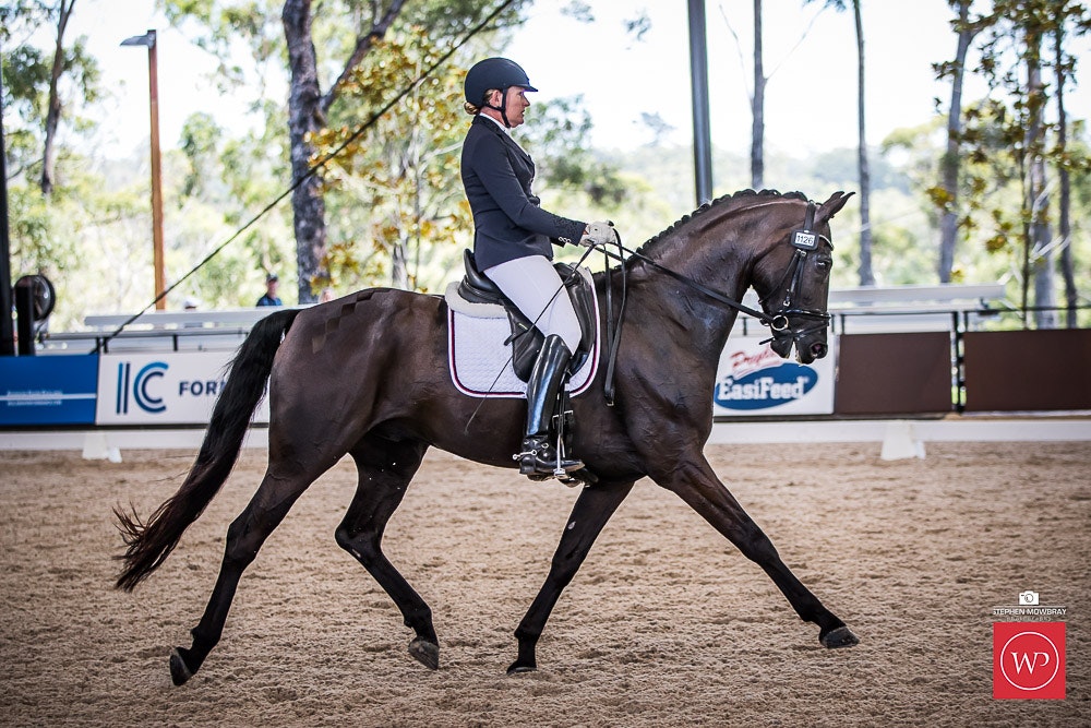 Image for Cox Architecture Young Horse 6yo Round 1
