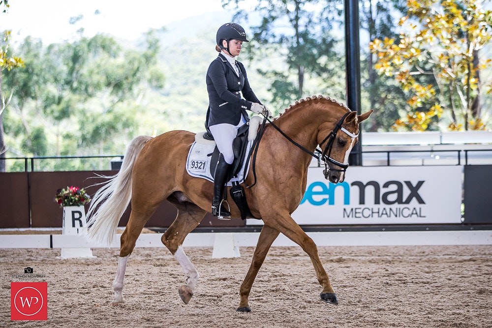 Image for Cox Architecture Young Horse 6yo Round 1