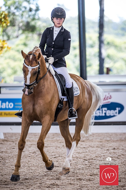 Image for Cox Architecture Young Horse 6yo Round 1