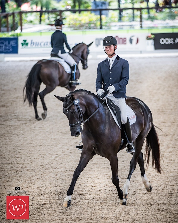 Image for Cox Architecture Young Horse 6yo Round 1