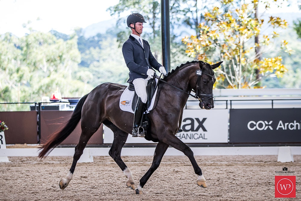 Image for Cox Architecture Young Horse 6yo Round 1
