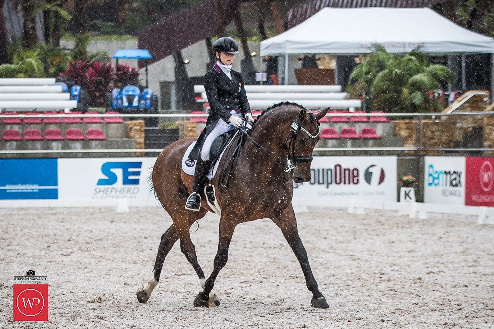 Image for Group One CDI Under 25 Grand Prix Freestyle