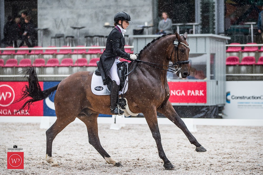 Image for Group One CDI Under 25 Grand Prix Freestyle