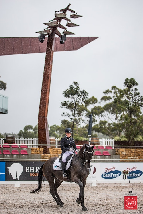 Image for Group One CDI Under 25 Grand Prix Freestyle