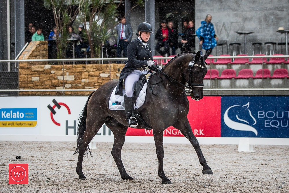 Image for Group One CDI Under 25 Grand Prix Freestyle