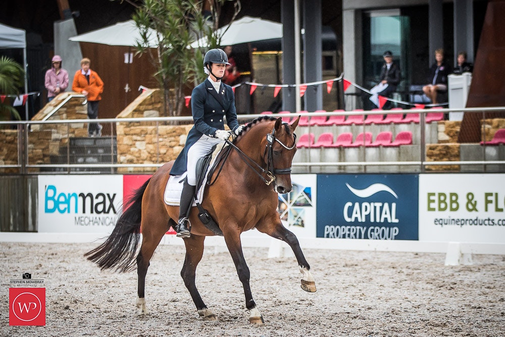 Image for Cox Architecture Grand Prix Freestyle CDN