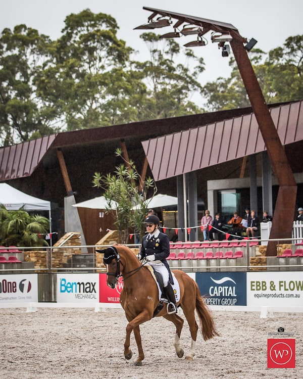 Image for Cox Architecture Grand Prix Freestyle CDN