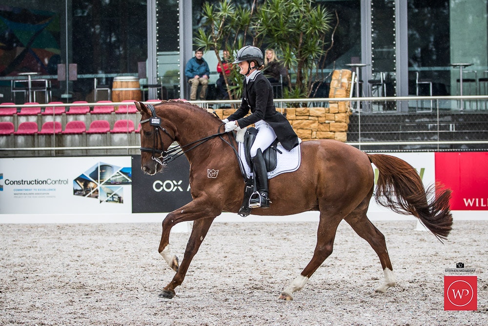 Image for Cox Architecture Grand Prix Freestyle CDN