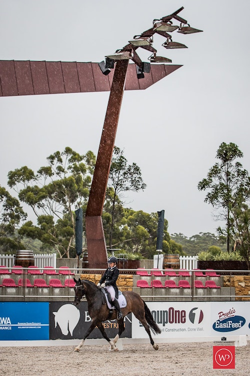 Image for Capricorn Australia Intermediate Freestyle CDN