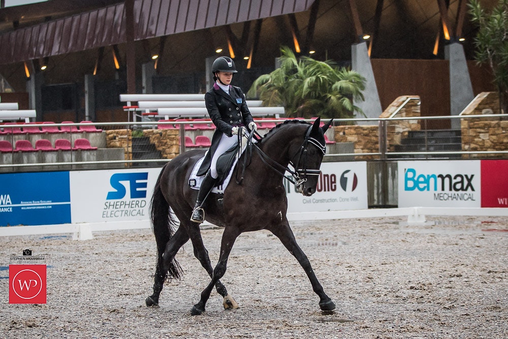 Image for Mulawa Performance Horses CDI-Y Freestyle