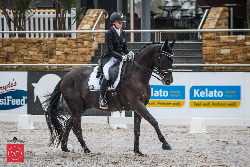 Image for Mulawa Performance Horses CDI-Y Freestyle