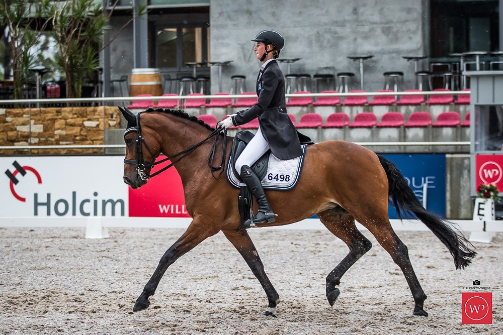 Image for Mulawa Performance Horses CDI-Y Freestyle