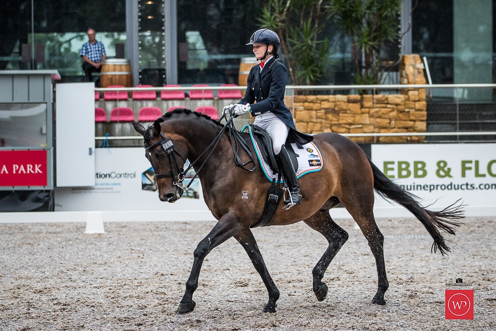 Image for Mulawa Performance Horses CDI-Y Freestyle