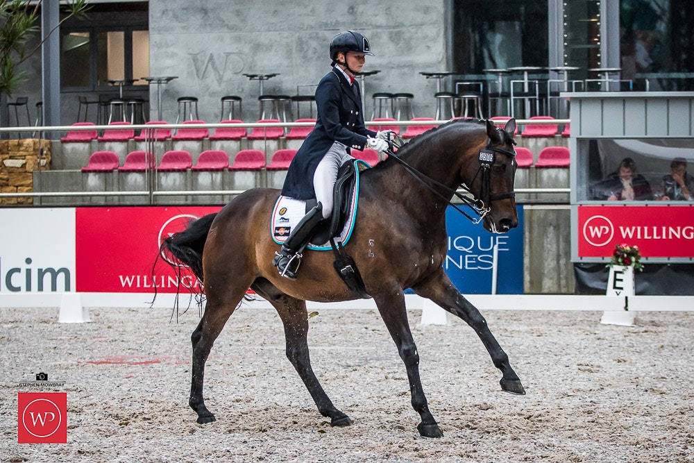Image for Mulawa Performance Horses CDI-Y Freestyle