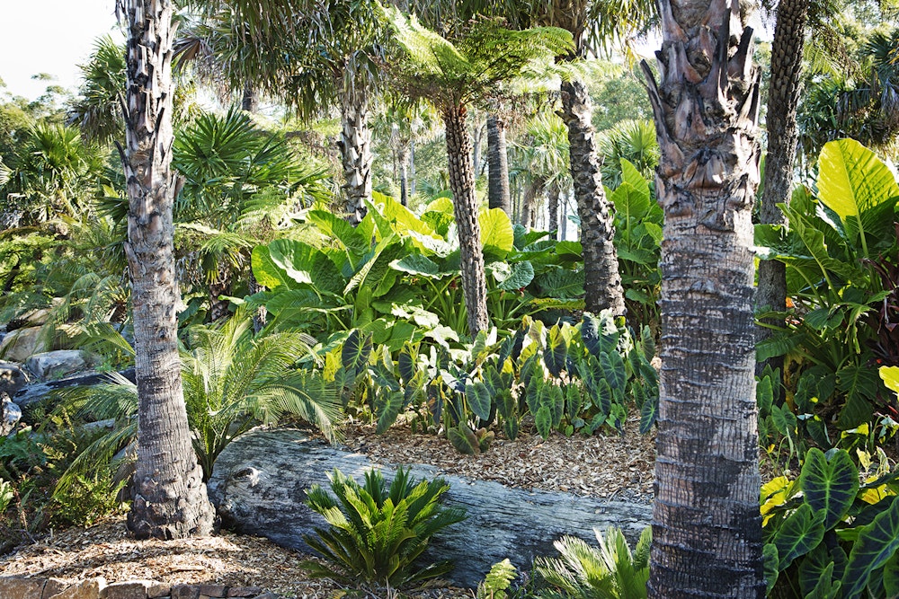 Image for Our gardens
