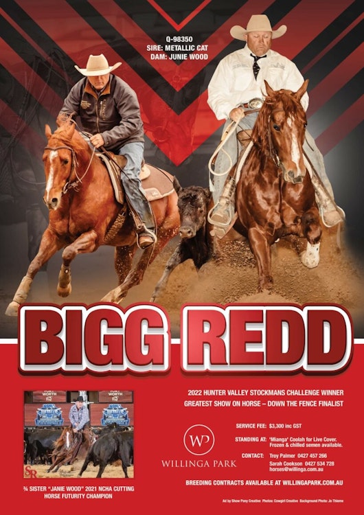 Image for Bigg Redd Advert
