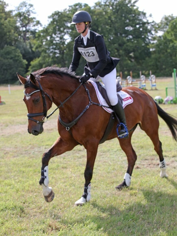 Image for Willinga Park Chelsea Eventing