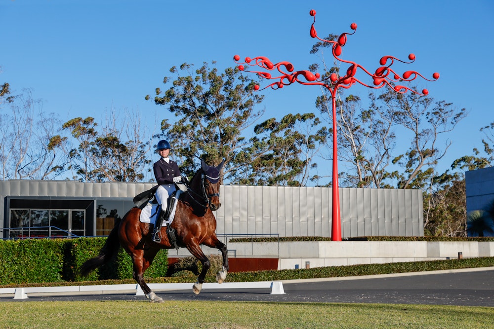Image for 4CYTE™ Dressage by the Sea CDI 2024