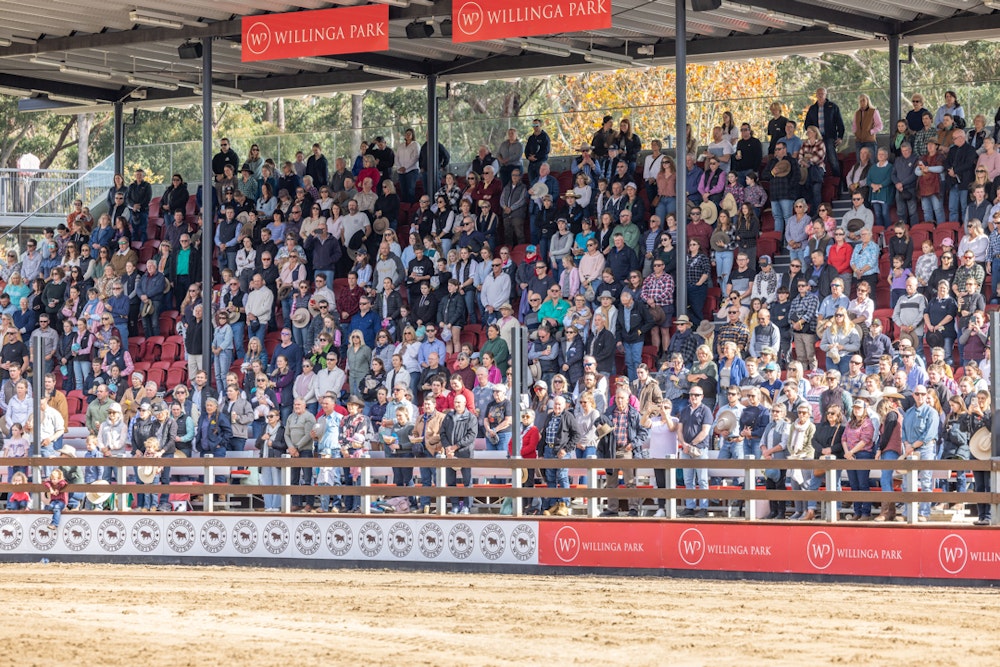 Image for Ringers Western Gold Buckle Campdraft Championship 2023