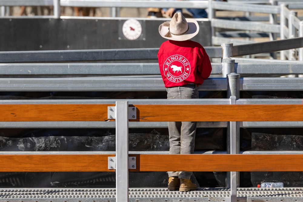 Image for Ringers Western Gold Buckle Campdraft Championship 2023