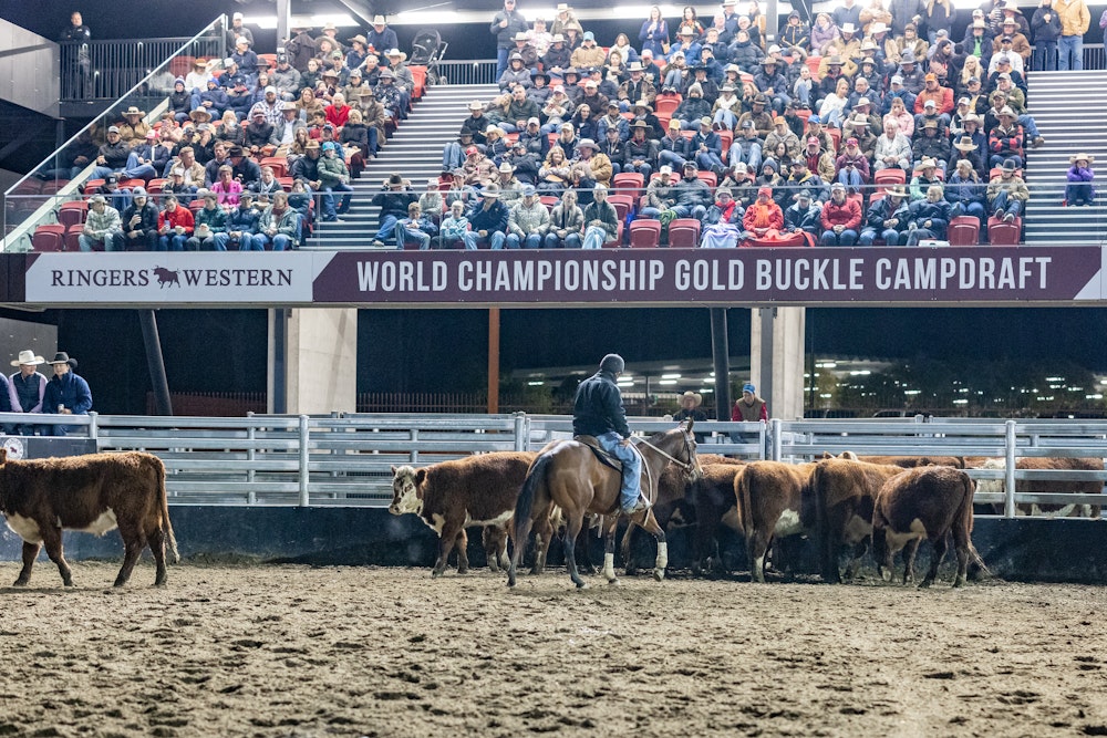 Image for Ringers Western Gold Buckle Campdraft Championship 2023