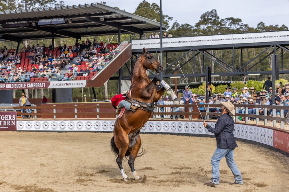 Image for Dan Steers at Ringers Western Gold Buckle Campdraft Championship 2023