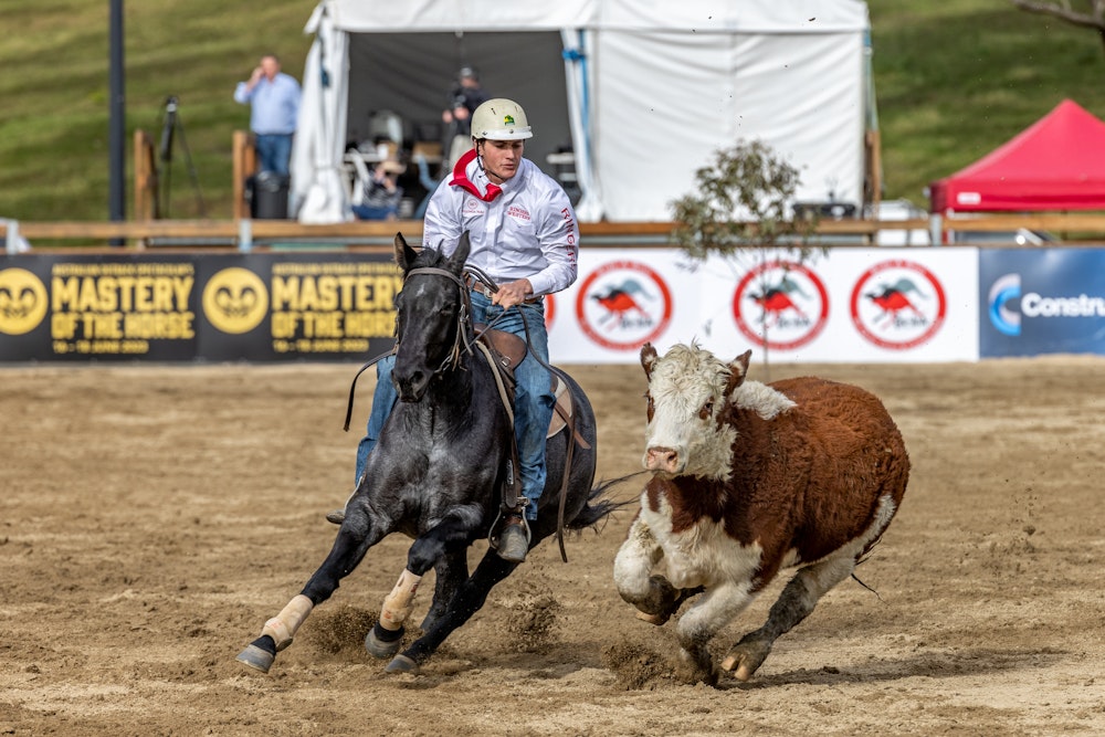 Image for Ringers Western Gold Buckle Campdraft Championship 2023