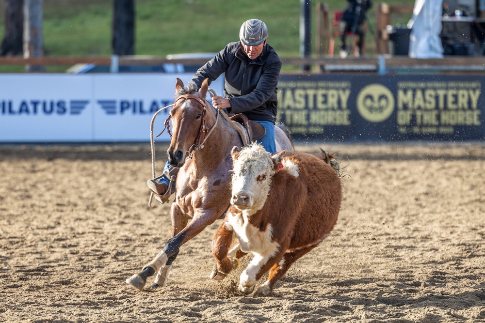 Image for Ringers Western Gold Buckle Campdraft Championship 2023