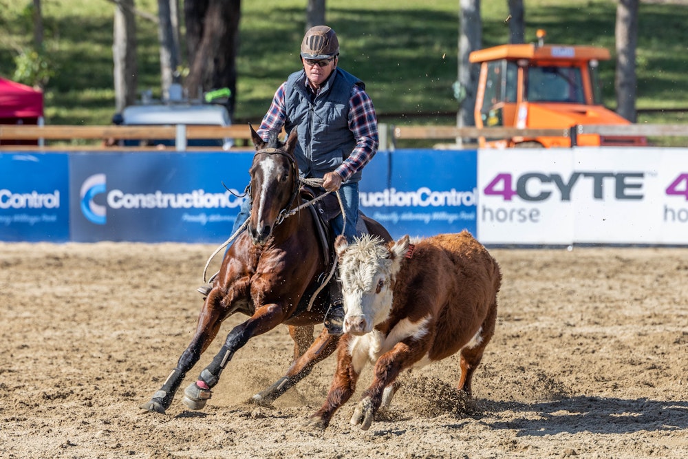 Image for Ringers Western Gold Buckle Campdraft Championship 2023