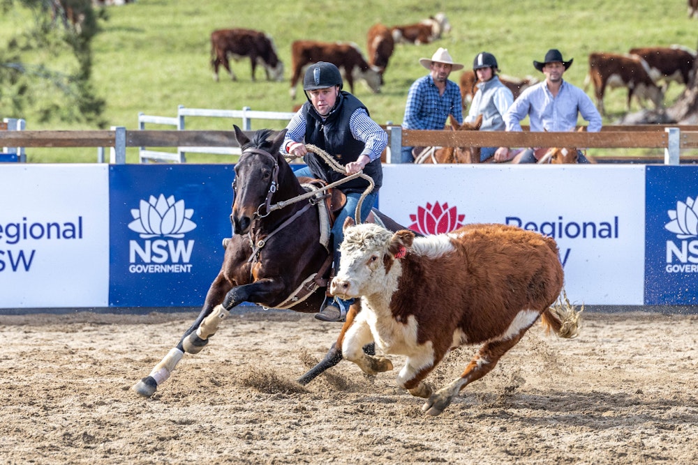 Image for Ringers Western Gold Buckle Campdraft Championship 2023