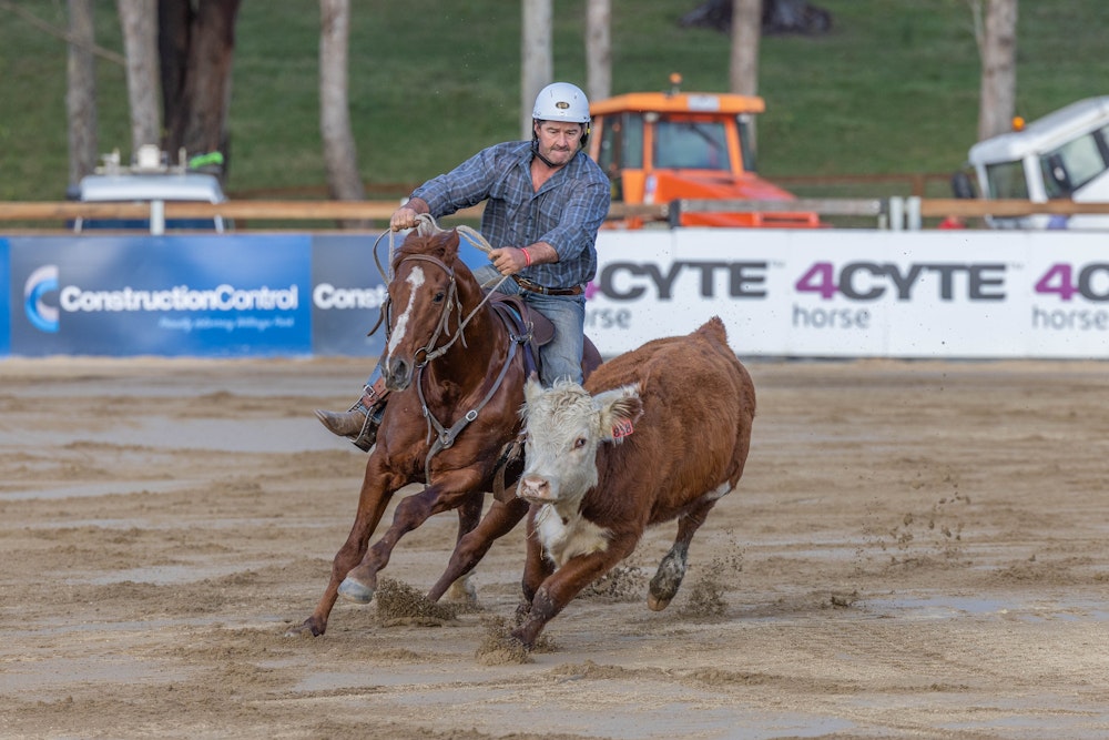 Image for Ringers Western Gold Buckle Campdraft Championship 2023