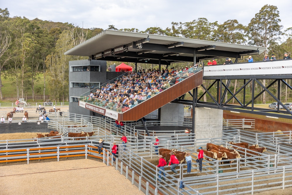 Image for Ringers Western Gold Buckle Campdraft Championship 2023