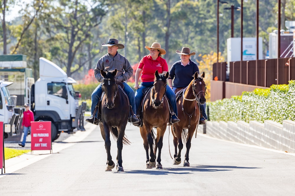 Image for Ringers Western Gold Buckle Campdraft Championship 2024