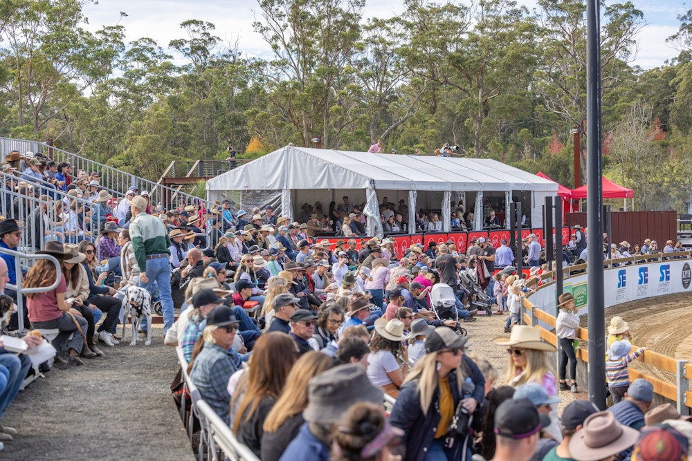 Image for Ringers Western Gold Buckle Campdraft Championship 2023