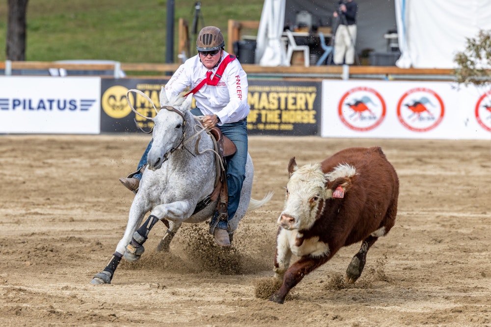 Image for Ringers Western Gold Buckle Campdraft Championship 2023