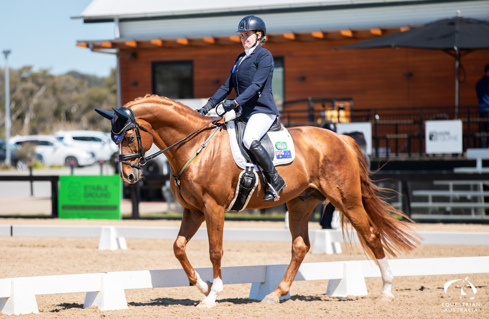 Image for Willinga Park CPEDI Olympic Qualifier (Para-Dressage)