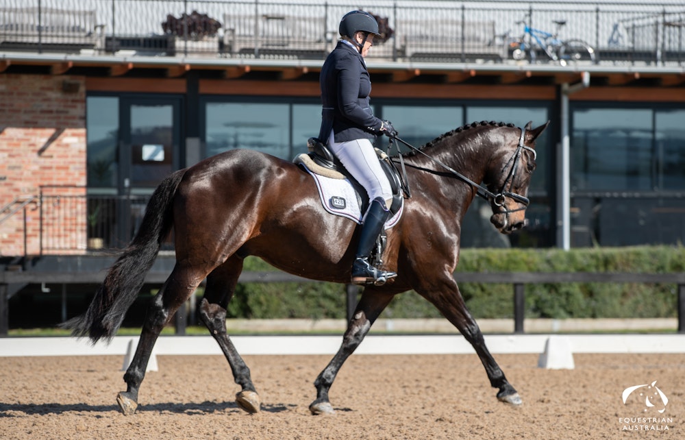 Image for Willinga Park CPEDI Olympic Qualifier (Para-Dressage)
