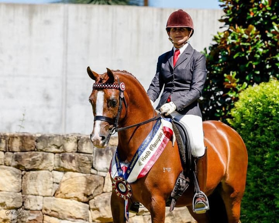 Image for Australasian International Arabian Championships