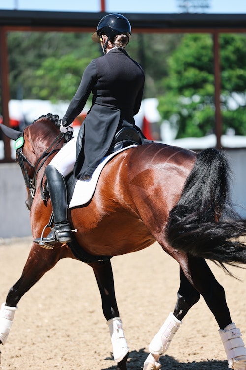 Image for 4CYTE™ Dressage by the Sea CDI 2024