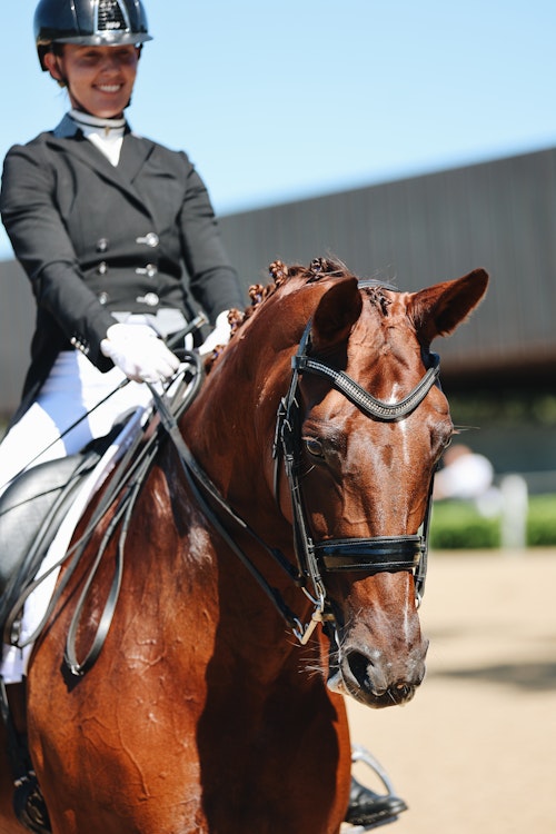Image for 4CYTE™ Dressage by the Sea CDI 2024