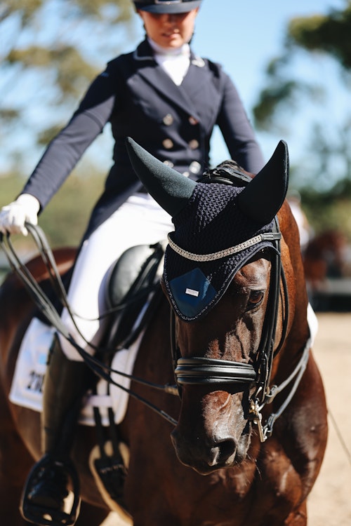 Image for 4CYTE™ Dressage by the Sea CDI 2024