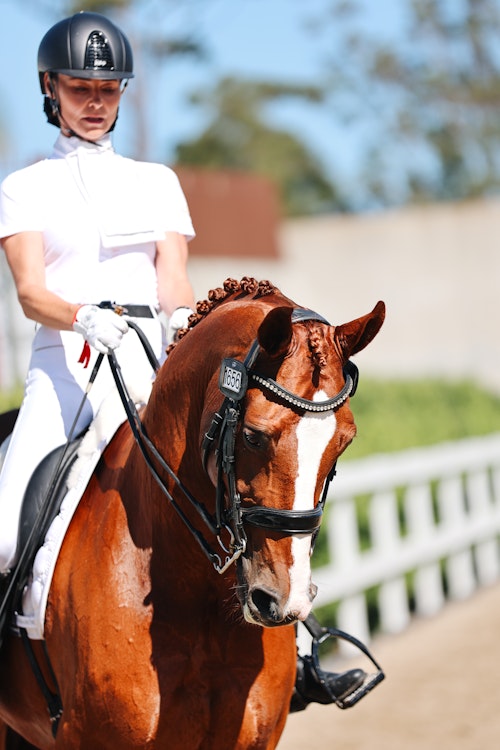 Image for 4CYTE™ Dressage by the Sea CDI 2024