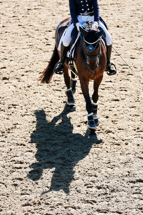 Image for 4CYTE™ Dressage by the Sea CDI 2024