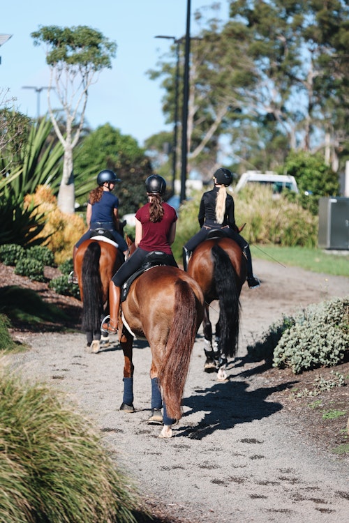 Image for 4CYTE™ Dressage by the Sea CDI 2024