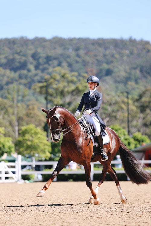 Image for 4CYTE™ Dressage by the Sea CDI 2024