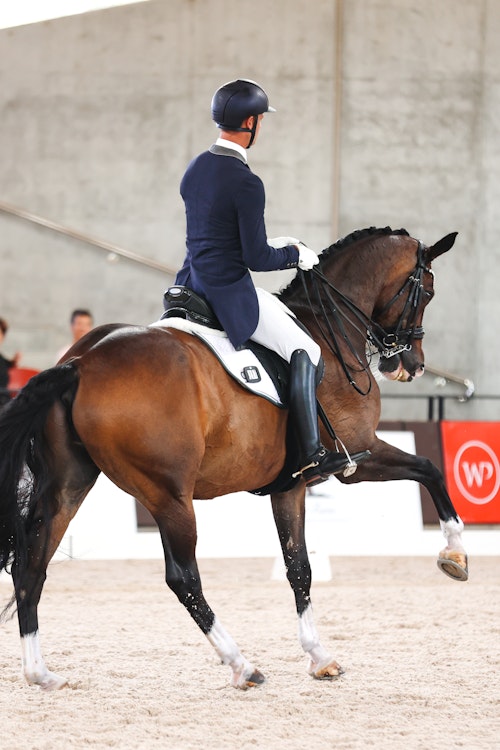 Image for 4CYTE™ Dressage by the Sea CDI 2024