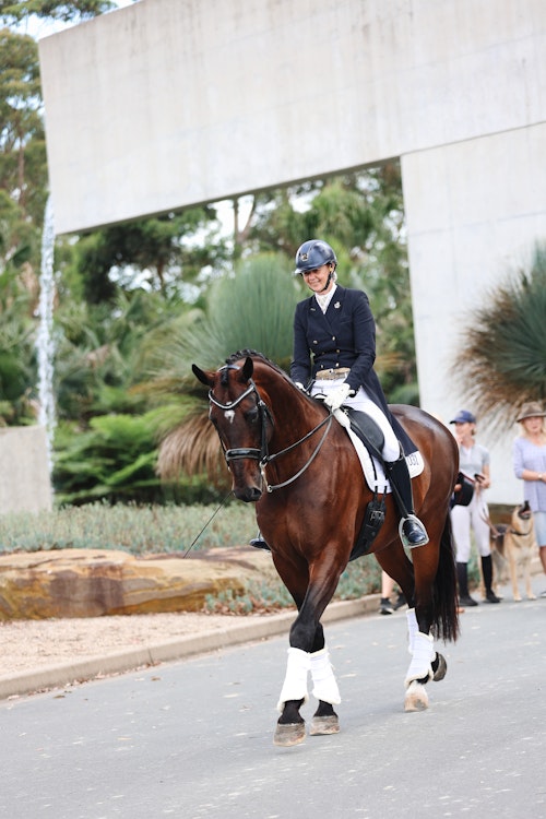Image for 4CYTE™ Dressage by the Sea CDI 2024